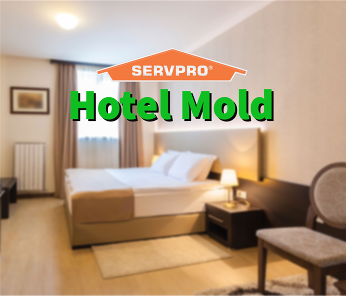 A hotel room free of mold in Barrow County