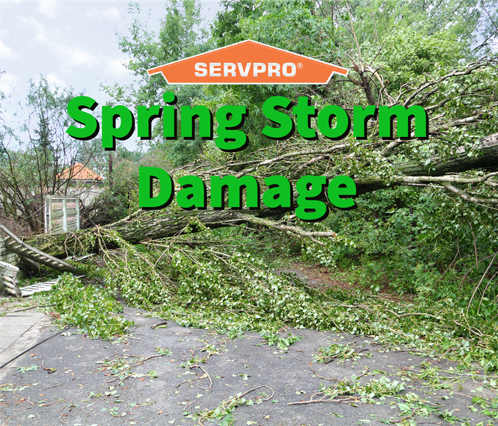 spring storm damage to a barrow county propert