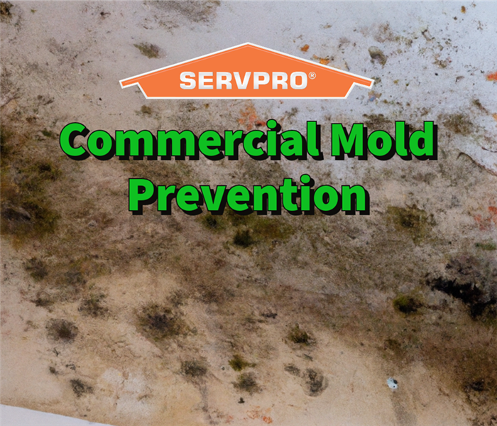 Mold damage in a Barrow County commercial building.