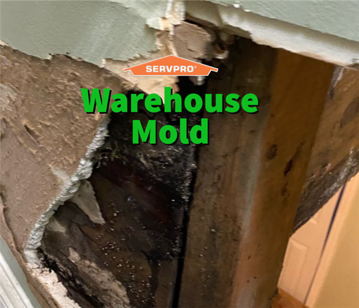 Warehouse mold damage in a Barrow County building.
